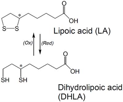 Potential Therapeutic Effects of <mark class="highlighted">Lipoic Acid</mark> on Memory Deficits Related to Aging and Neurodegeneration
